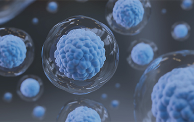 赛斯尔擎BCMA 自体CAR-T产品CG-105初步临床数据显示出安全性和有效性